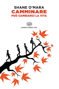 CAMMINARE PUO\' CAMBIARCI LA VITA