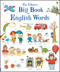 BIG BOOK OF ENGLISH WORDS