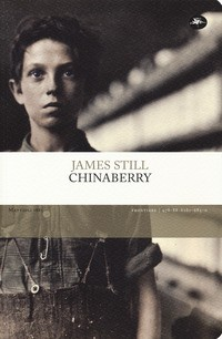 CHINABERRY di STILL JAMES