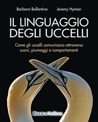 LINGUAGGIO DEGLI UCCELLI - COME GLI UCCELLI COMUNICANO ATTRAVERSO SUONI PIUMAGGI