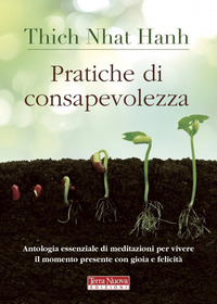 PRATICHE DI CONSAPEVOLEZZA - ANTOLOGIA ESSENZIALE DI MEDITAZIONI PER VIVERE IL MOMENTO PRESENTE