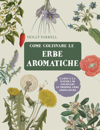 COME COLTIVARE LE ERBE AROMATICHE