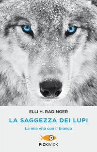 SAGGEZZA DEI LUPI - LA MIA VITA CON IL BRANCO