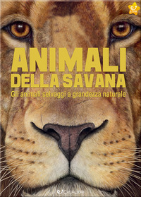 ANIMALI DELLA SAVANA - GLI ANIMALI SELVAGGI A GRANDEZZA NATURALE