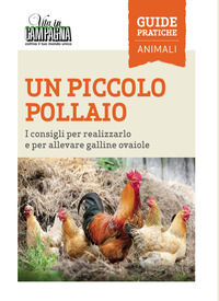 PICCOLO POLLAIO - I CONSIGLI PER REALIZZARLO E PER ALLEVARE GALLINE OVAIOLE