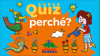 SUPER QUIZ PERCHE\'