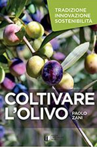 COLTIVARE L\'OLIVO - TRADIZIONE INNOVAZIONE SOSTENIBILITA\'