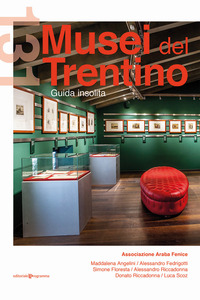 131 MUSEI DEL TRENTINO - GUIDA INSOLITA