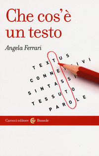 CHE COS\'E\' UN TESTO