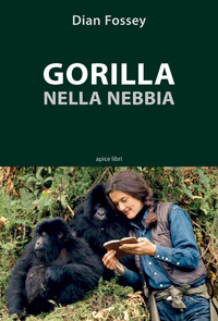 GORILLA NELLA NEBBIA