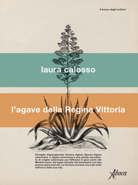 AGAVE DELLA REGINA VITTORIA