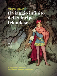 VIAGGIO INFINITO DEL PRINCIPE IRLANDESE