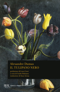 TULIPANO NERO