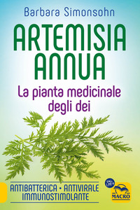 ARTEMISIA ANNUA - LA PIANTA MEDICINALE DEGLI DEI - ANTIBATTERICA ANTIVIRALE IMMUNOSTIMOLANTE