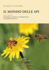 MONDO DELLE API