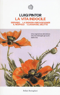 VITA INDOCILE - SERVABO LA SIGNORA KIRCHGESSNER IL NESPOLO I LUOGHI DEL DELITTO