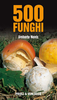 500 FUNGHI