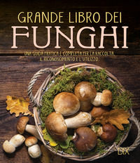 GRANDE LIBRO DEI FUNGHI - UNA GUIDA PRATICA E COMPLETA PER LA RACCOLTA IL RICONOSCIMENTO E