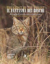 FANTASMA DEI BOSCHI. ALLA SCOPERTA DEL MISTERIOSO GATTO SELVATICO EUROPEO