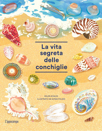 VITA SEGRETA DELLE CONCHIGLIE