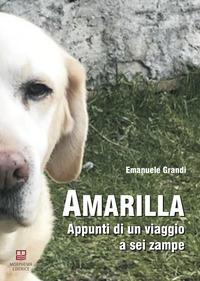 AMARILLA - APPUNTI DI UN VIAGGIO A SEI ZAMPE