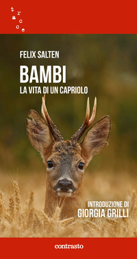 BAMBI - LA VITA DI UN CAPRIOLO