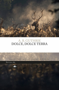 DOLCE DOLCE TERRA