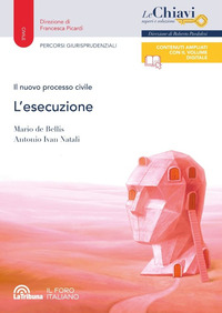 NUOVO PROCESSO CIVILE - L\'ESECUZIONE