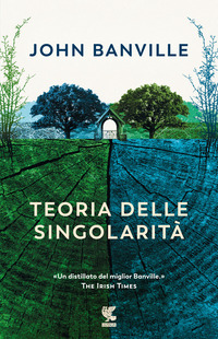 TEORIA DELLE SINGOLARITA\'