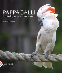 PAPPAGALLI - L\'INTELLIGENZA CHE CANTA