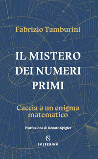 MISTERO DEI NUMERI PRIMI - CACCIA A UN ENIGMA MATEMATICO