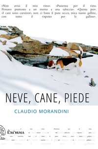 NEVE CANE PIEDE