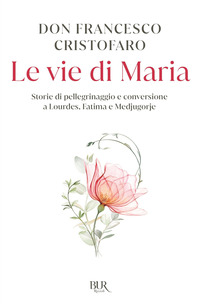 VIE DI MARIA - STORIE DI PELLEGRINAGGI E CONVERSIONI A LOURDES MEDJUGORJE E FATIMA