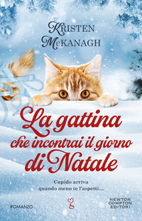 GATTINA CHE INCONTRAI IL GIORNO DI NATALE