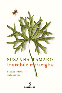 INVISIBILE MERAVIGLIA - PICCOLE LEZIONI SULLA NATURA