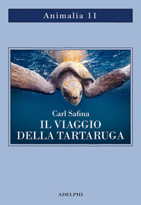 VIAGGIO DELLA TARTARUGA