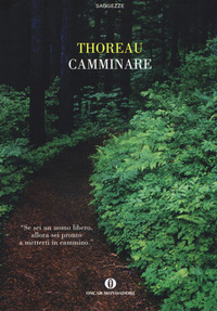 CAMMINARE