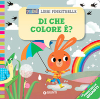 DI CHE COLORE E\' ?