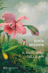 SUSSURRO DELLE API