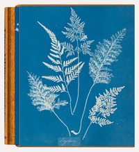 ANNA ATKINS. CYANOTYPES. EDIZ. INGLESE, FRANCESE E TEDESCA