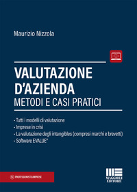 VALUTAZIONE D\'AZIENDA - METODI E CASI PRATICI