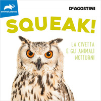 SQUEAK ! LA CIVETTA E GLI ANIMALI NOTTURNI