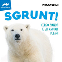 SGRUNT ! L\'ORSO BIANCO E GLI ANIMALI POLARI