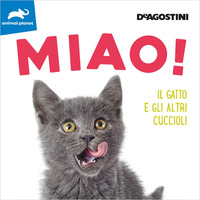 MIAO ! IL GATTO E GLI ALTRI CUCCIOLI