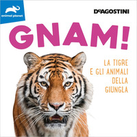 GNAM ! LA TIGRE E GLI ANIMALI DELLA GIUNGLA