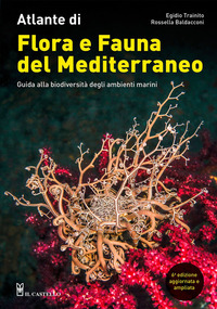 ATLANTE DI FLORA E FAUNA DEL MEDITERRANEO - GUIDA ALLA BIODIVERSITA\' DEGLI AMBIENTI MARINI