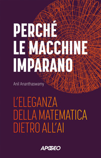 PERCHE\' LE MACCHINE IMPARANO - L\'ELEGANZA DELLA MATEMATICA DIETRO ALL\'AI