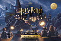 HARRY POTTER - VIAGGIO A HOGWARTS