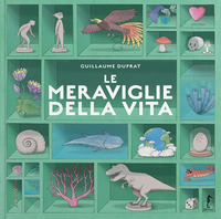 MERAVIGLIE DELLA VITA