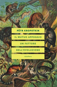 MUTUO APPOGGIO - UN FATTORE DELL\'EVOLUZIONE di KROPOTKIN PËTR A. BORELLA G. (CUR.)